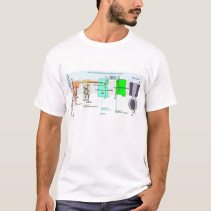 Mitonchondrial Intermembrane Space Diagram T-shirt