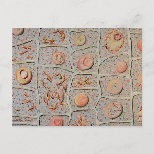 Mitose Briefkaart (Voorkant)