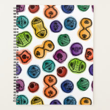 Mitose - Kleur op wit