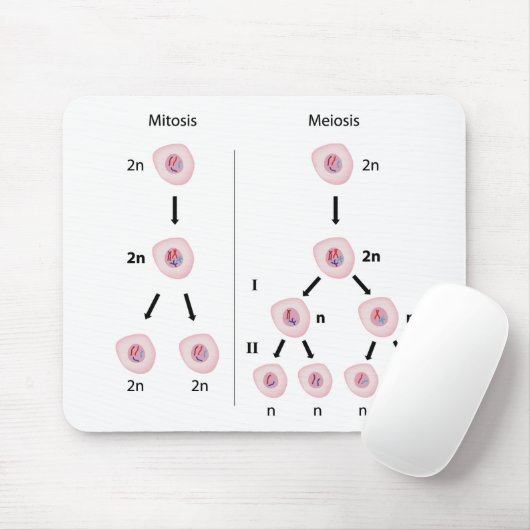 Mitose versus meiosis mousepad muismat (Met muis)