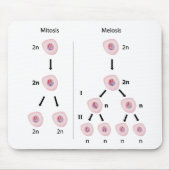Mitose versus meiosis mousepad muismat (Voorkant)