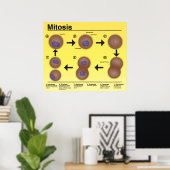 Mitosis Classroom Poster * Bijgewerkt* (Thuiskantoor)