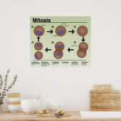 Mitosis Classroom Poster * Bijgewerkt* (Keuken)
