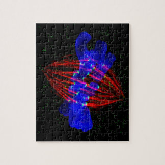 Mitotic Metaphase Legpuzzel