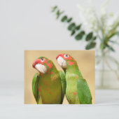 Mitred Parakeet op houten post Briefkaart (Staand voorkant)