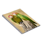 Mitred Paraket op houtenpost Briefkaart Square Sti Notitieboek (Rechterzijde)