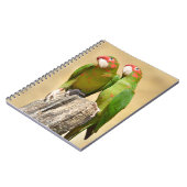 Mitred Paraket op houtenpost Briefkaart Square Sti Notitieboek (Linkerzijde)