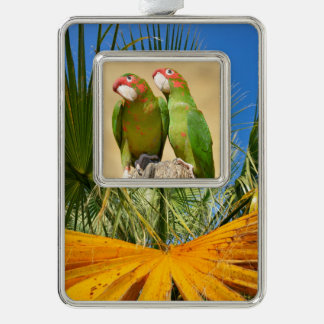 Mitred Paraket op houtenpost Briefkaart Square Sti Verzilverd Omlijst Ornament