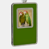 Mitred Paraket op houtenpost Briefkaart Square Sti Verzilverd Omlijst Ornament (Rechts)