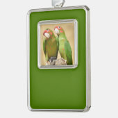 Mitred Paraket op houtenpost Briefkaart Square Sti Verzilverd Omlijst Ornament (Links)