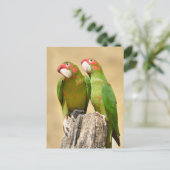 Mitred Paraket op houtpost Briefkaart (Staand voorkant)