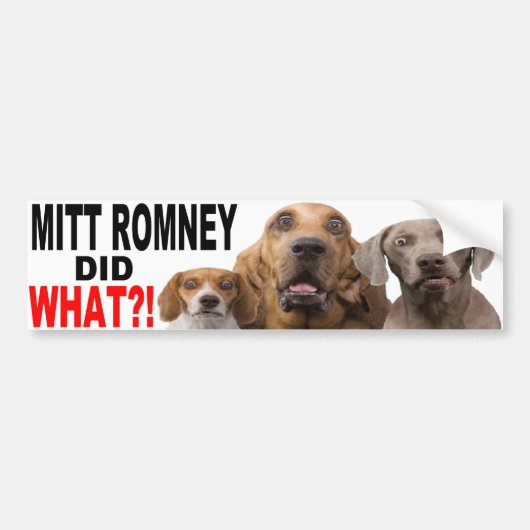 MITT ROMNEY HEEFT WAT GEDAAN! Dog on Roof BUMPERST Bumpersticker (Voorkant)