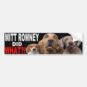 MITT ROMNEY HEEFT WAT GEDAAN! Dog on Roof BUMPERST Bumpersticker