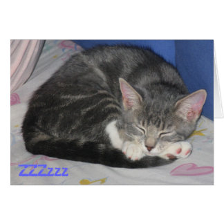 MIttens Kitten Sq Nap-kaart