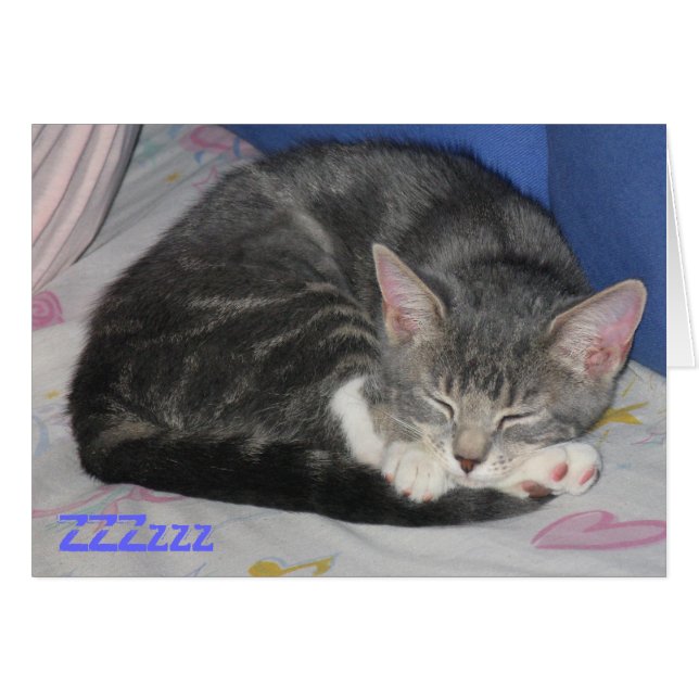 MIttens Kitten Sq Nap-kaart (Voorkant Horizontaal)