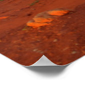 Mittens, monument valley, AZ Poster (Hoek)