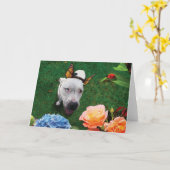 Mitzy de Mariposa, hond met vlindervleugels Kaart (Gele Bloem)