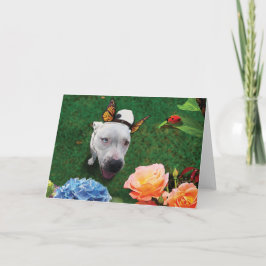 Mitzy de Mariposa, hond met vlindervleugels Kaart