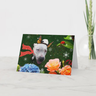 Mitzy de Mariposa, Vakantie Groet Kaart