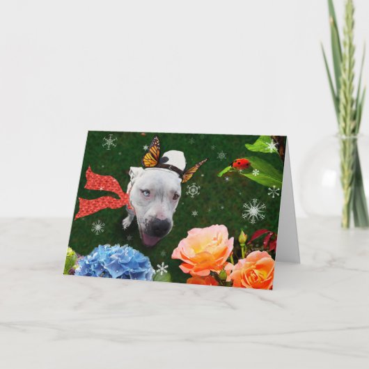 Mitzy de Mariposa, Vakantie Groet Kaart (Voorkant)