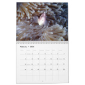 Mix Photos of Siquijor Beauty S-L Size Kalender (Feb 2026)