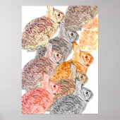 Mixed Bunny Poster Poster (Voorkant)