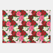 Mixed Christmas Poinsettias Inpakpapier Vel (Voorkant)