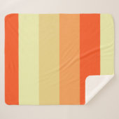 Mixed Color Stripe Fleece Sherpa Deken Gift Idee (Voorkant (horizontaal))