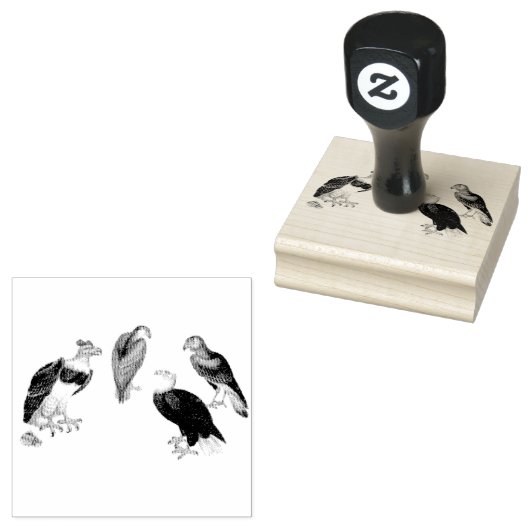 Mixed Eagles Vogels Scrapbooking Rubberstempel (Gestempeld)