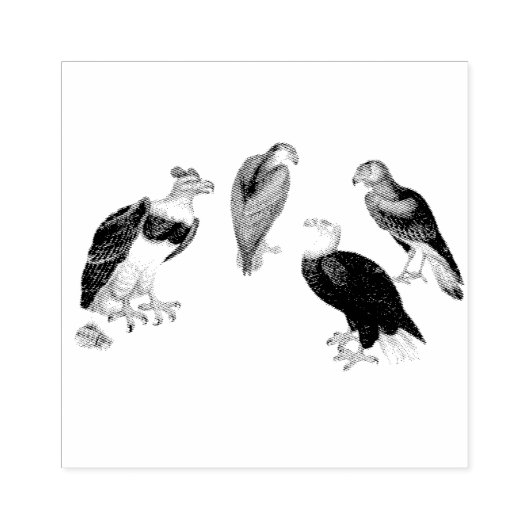 Mixed Eagles Vogels Scrapbooking Rubberstempel (Afrduk)