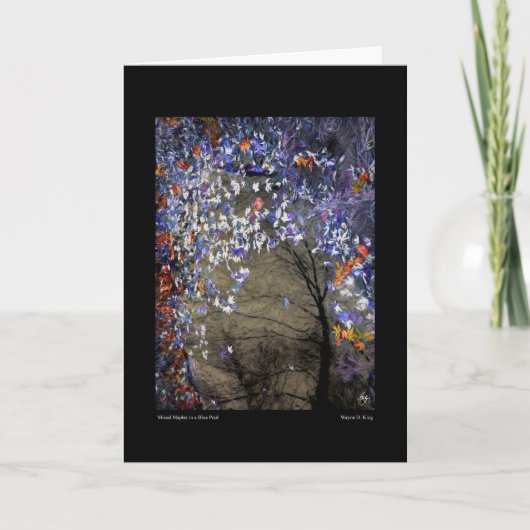 Mixed Maples in een herfstzwembad Kaart (Voorkant)