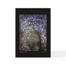 Mixed Maples in een herfstzwembad