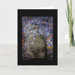 Mixed Maples in een herfstzwembad Kaart