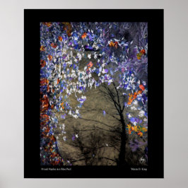 Mixed Maples in een herfstzwembad Poster