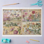 Mixed Media Style Scrapbook Bloemen Achtergrond E Tissuepapier (Craft)