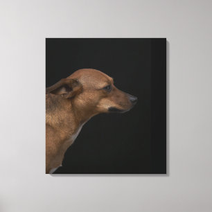 Mixed-raderhondenprofiel op zwarte achtergrond canvas afdruk