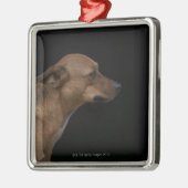 Mixed-raderhondenprofiel op zwarte achtergrond metalen ornament (Links)