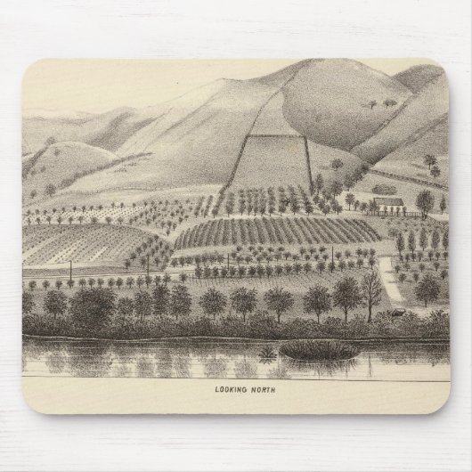 Mizzen Top Rancho Muismat (Voorkant)