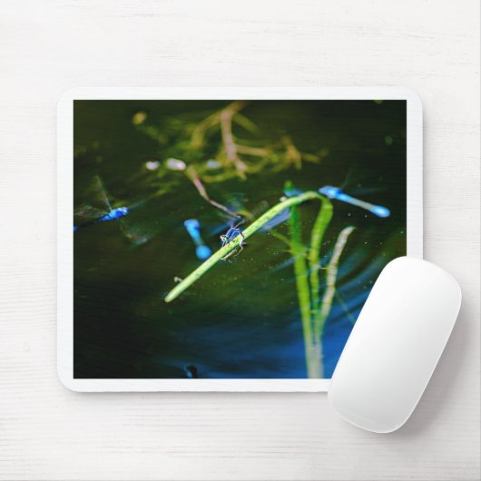 MK2A8136_v01 Muismat (Met muis)