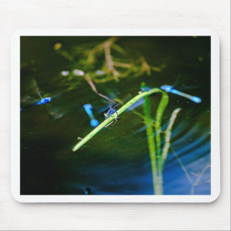 MK2A8136_v01 Muismat