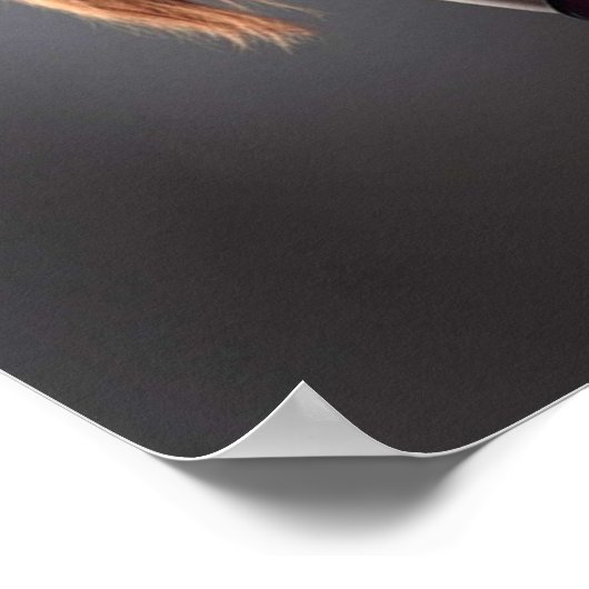 MK Roomies Scorpion X Mileena Poster (Hoek)