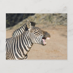 Mkuze Game Reserve, provincie Kwa-Zulu Natal, Briefkaart