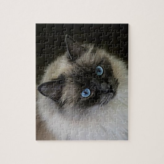 M'Lady Legpuzzel (Verticaal)