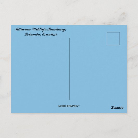 Mlilwane Wildlife Sanctuary Lobamba Eswatini Briefkaart (Achterkant)