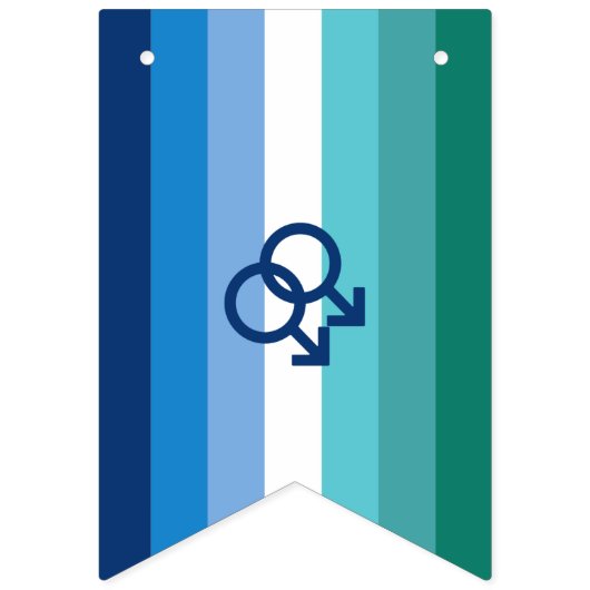 MLM Gay Male Pride Flag Vlaggetjes (Derde vlag)