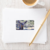 Mlosse Adresetiketten Etiket (Insitu)