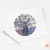 Mlosse Stickers (Envelop)