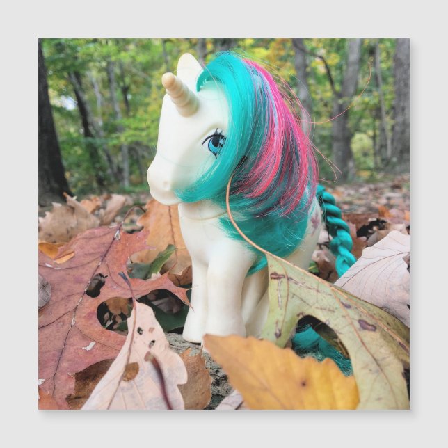 MLP Gusty in Autumn Leaves (Voorkant)