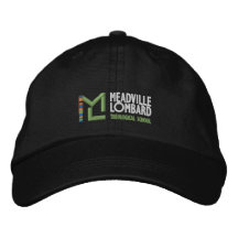 MLTS logo baseball pet