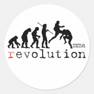 MMA Evolutiegrafiek Vliegende Knie Sticker